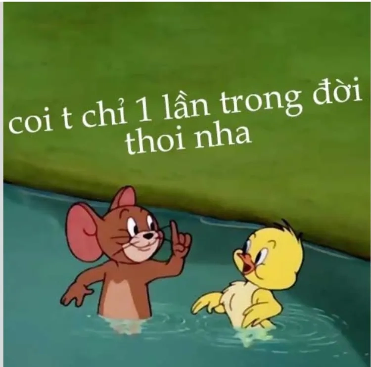 Ngắm jerry meme cute đáng yêu nhất