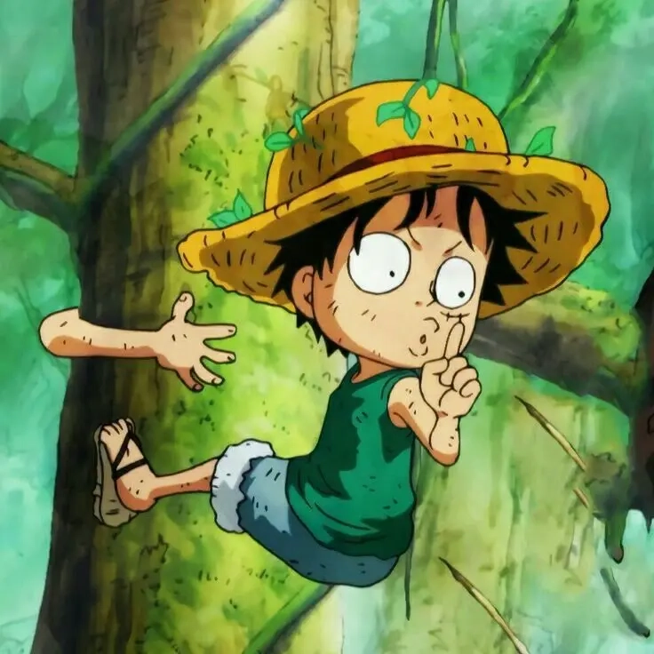 Luffy hồi bé dễ thương trong One Piece Luffy lúc nhỏ