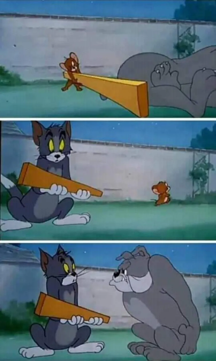 Ngắm nhìn mèo tom meme tom and jerry vui nhộn