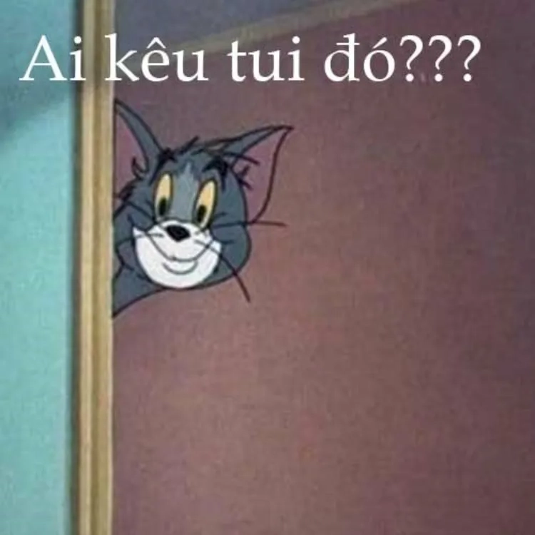 Cười sảng khoái với tom cat meme mới nhất