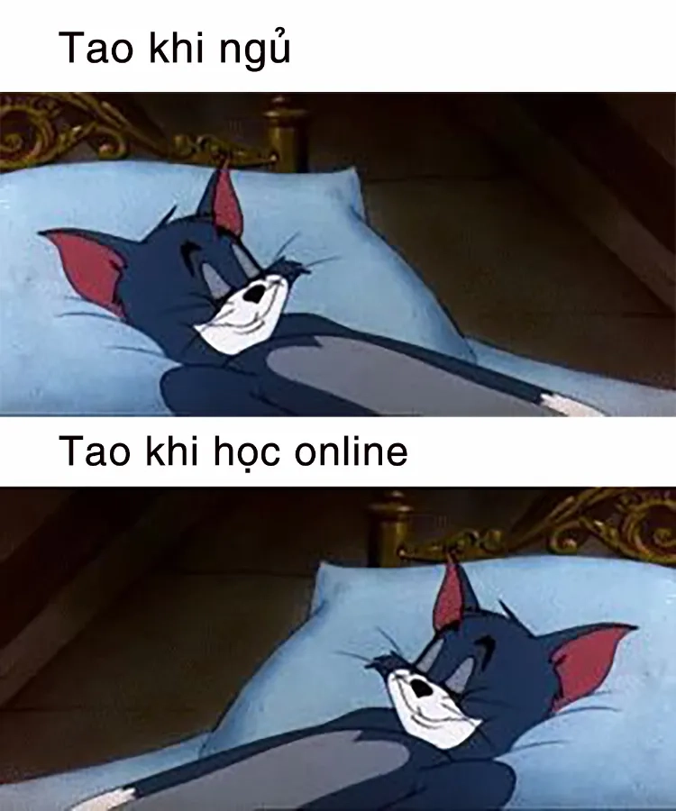 Chọn ngay meme tom cười khiến bạn cười té ghế