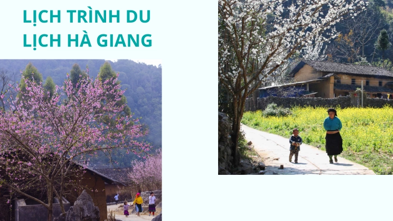 Lịch trình du lịch Hà Giang mùa xuân và cách di chuyển