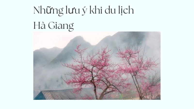 Những lưu ý văn hóa khi du lịch Hà Giang mùa xuân
