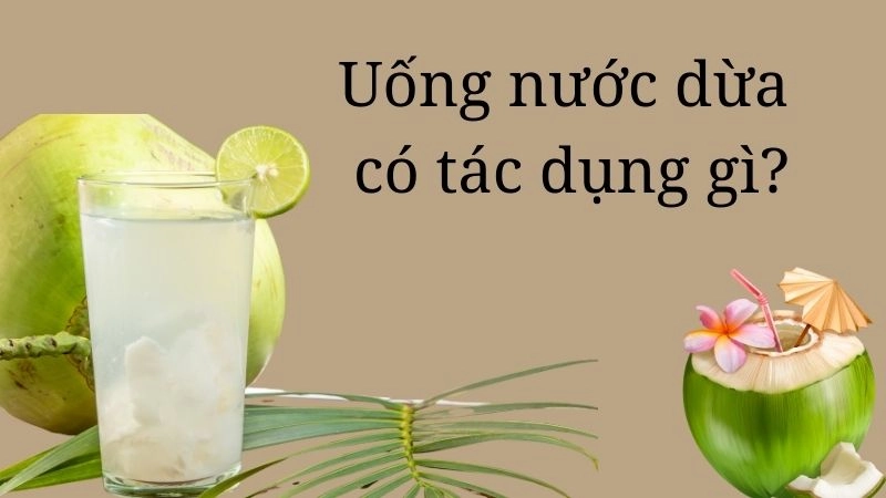 Uống nước dừa có tác dụng gì theo khoa học chứng minh