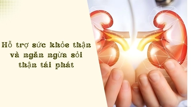 Hỗ trợ sức khỏe thận và ngăn ngừa sỏi thận tái phát