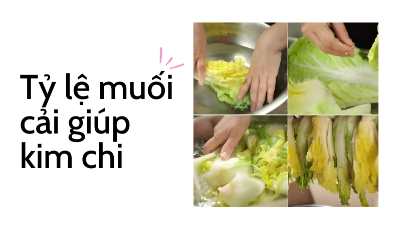 Kỹ thuật ngâm muối giúp cải thảo dẻo dai và giòn ngon hơn