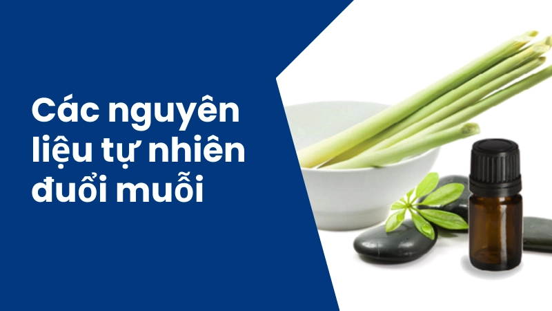  Xông tinh dầu sả chanh giúp không gian thư giãn và sạch muỗi