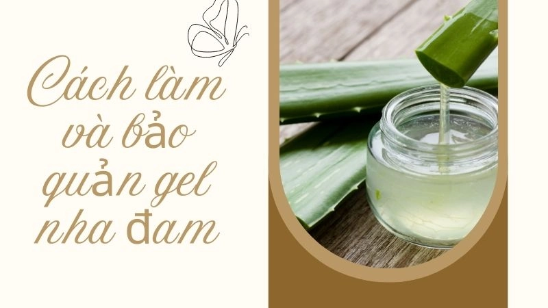 Cách làm và bảo quản gel nha đam chuẩn spa tại nhà 