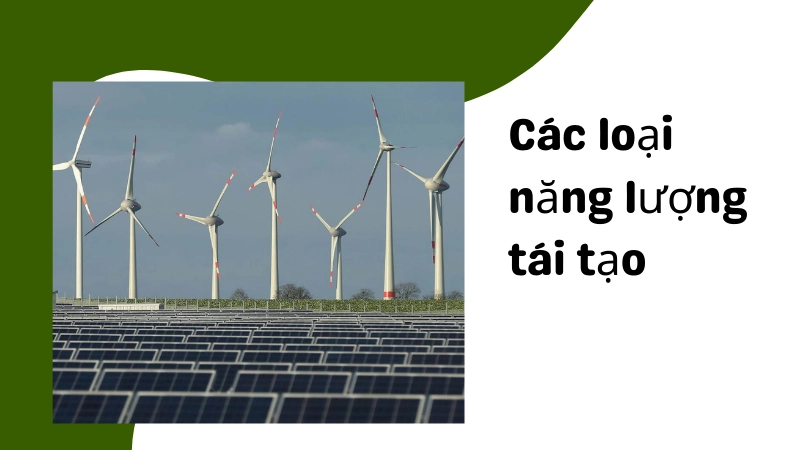  Hệ thống pin mặt trời và tuabin gió hiện đại