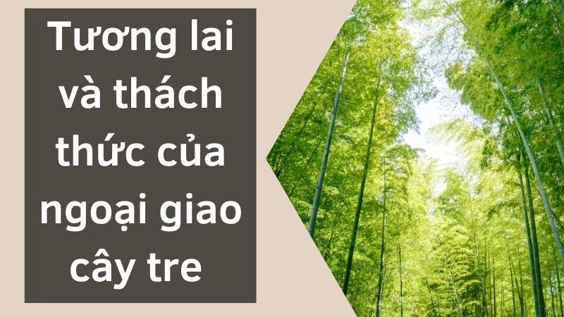 Tương lai và thách thức của ngoại giao cây tre 
