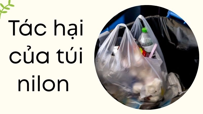 Túi nilon khó phân hủy như thế nào?