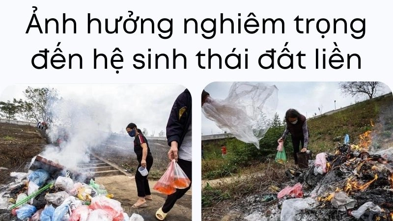 Ảnh hưởng nghiêm trọng đến hệ sinh thái đất liền