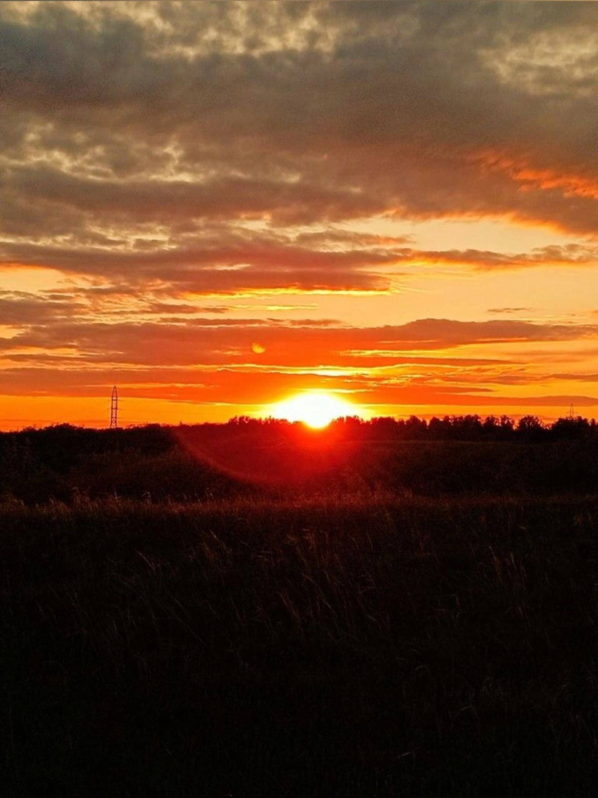 Thỏa sức sáng tạo đam mê khi học vẽ tranh phong cảnh hoàng hôn