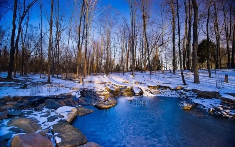 Ngỡ ngàng trước phong cảnh mùa đông tuyết đẹp tựa như cổ tích