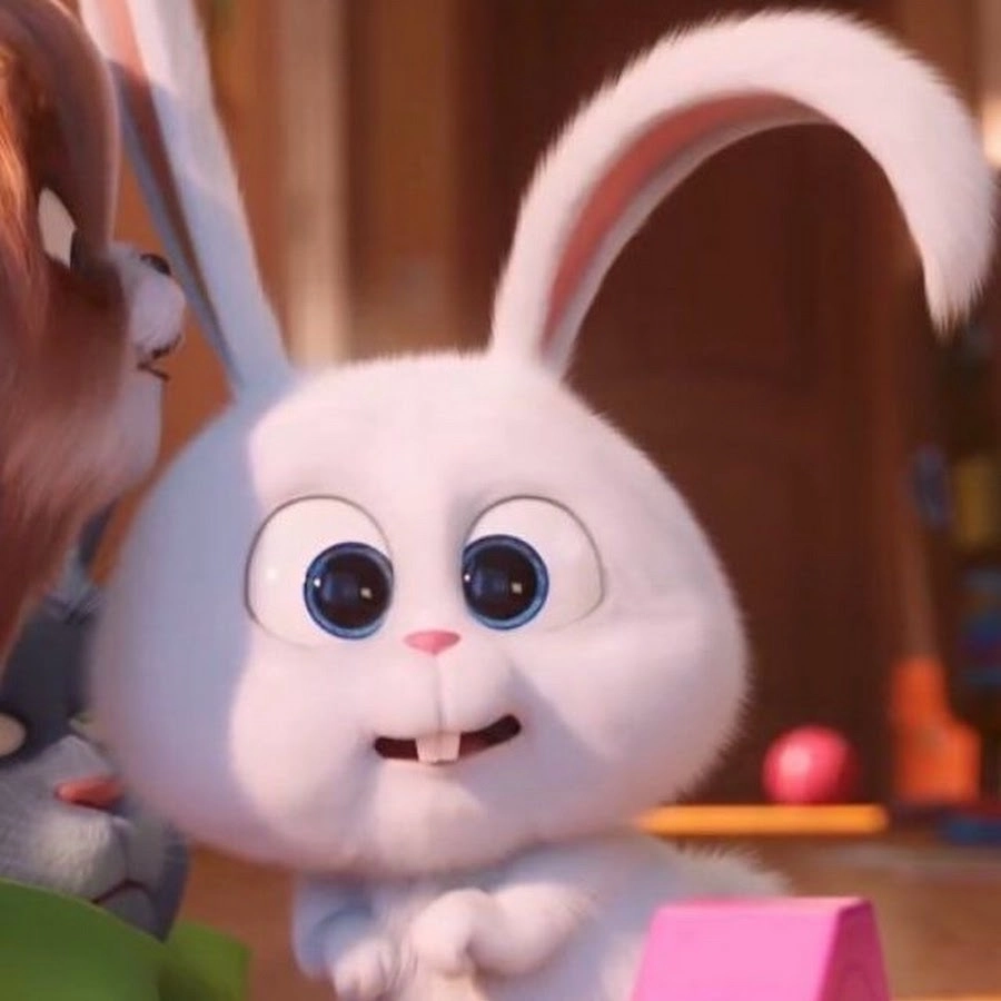 Bề ngoài hổ báo nhưng bên trong thỏ Snowball dễ thương xỉu