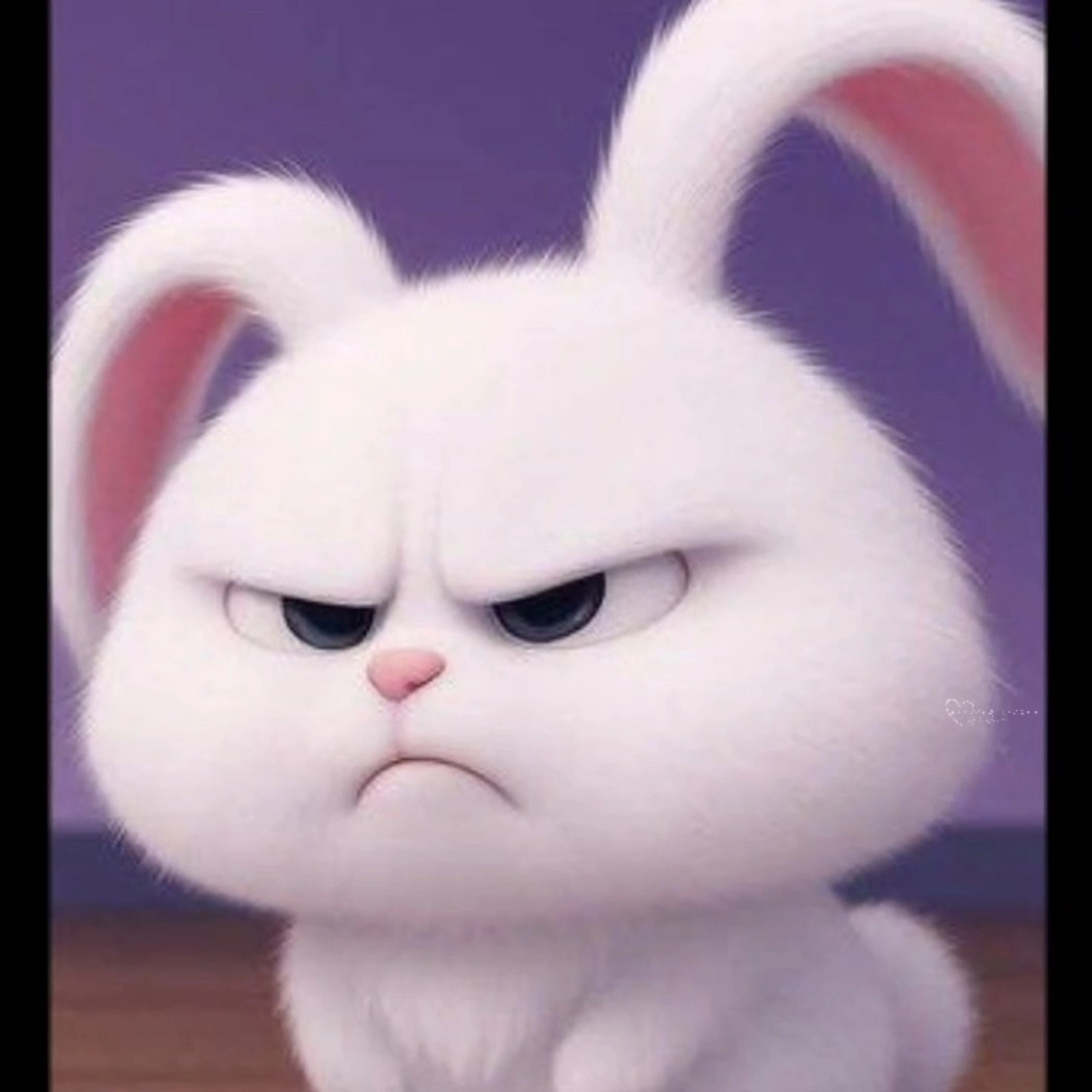 Không thể cưỡng lại sức hút của thỏ Snowball cute lạc lối