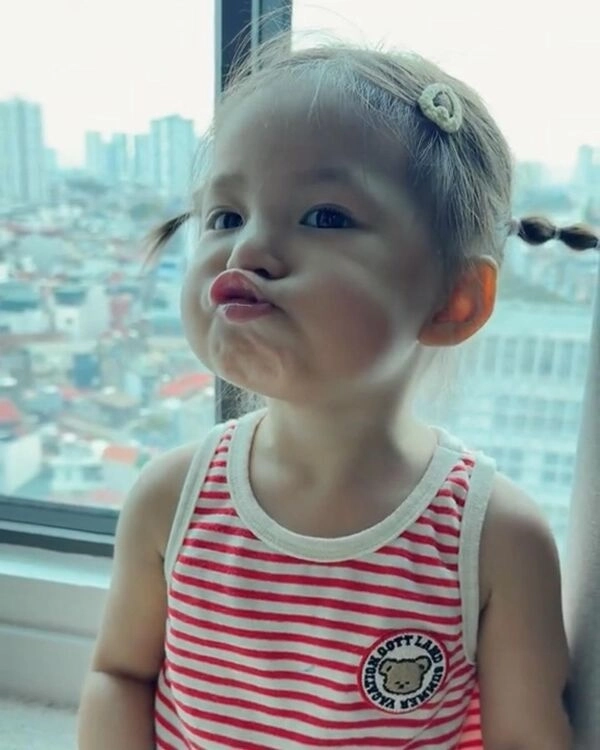 Sưu tầm ngay bộ ảnh meme Pam hài hước để đi comment dạo