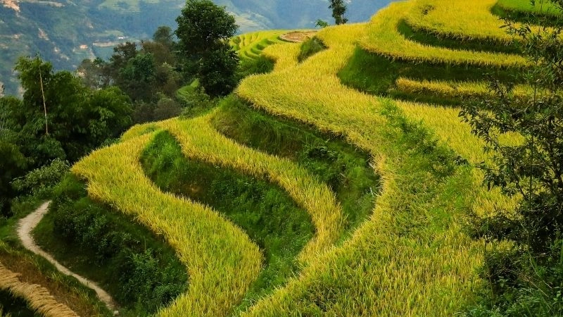 Những cung đường 