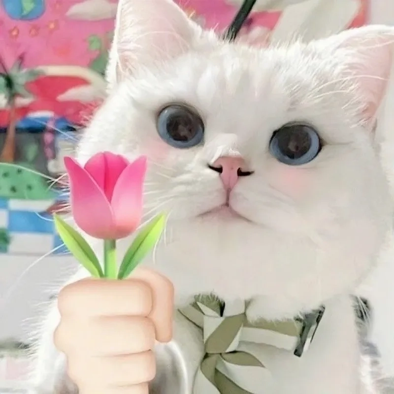 Bí kíp thoát kiếp F.A nhờ chăm gửi cute meme mèo tặng hoa