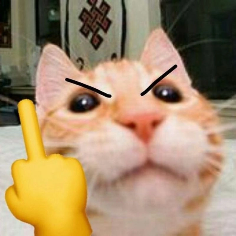 Sự kết hợp trái ngược đáng yêu trong meme ngón giữa cute xỉu