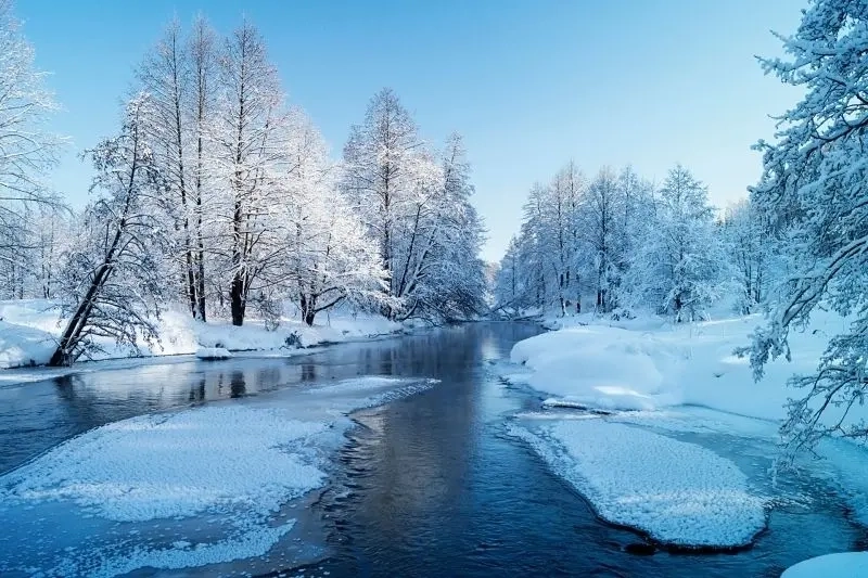 Hướng dẫn bé cách vẽ tranh phong cảnh mùa đông đơn giản nhất