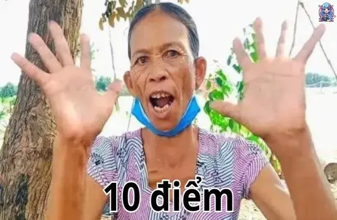 Khám phá bộ sưu tập ảnh 10 điểm meme hài hước và độc đáo nhất