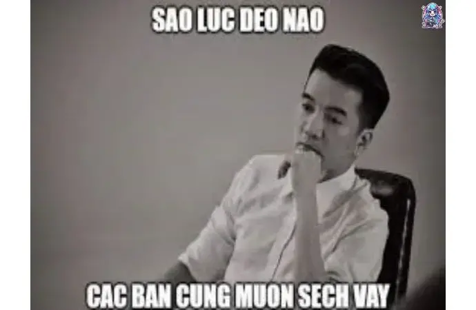 Khám phá bộ ảnh đàm vĩnh hưng meme hài hước gây bão mạng