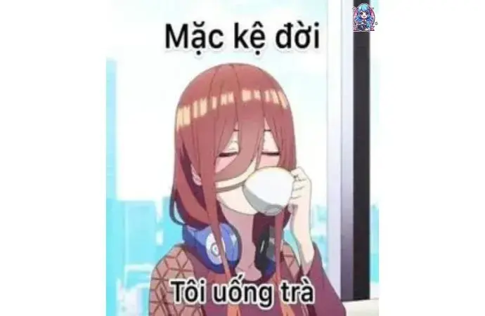 Khám phá ảnh meme anime bất lực hài hước cực chất