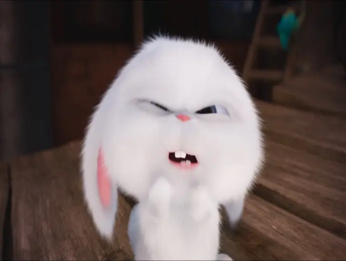 Bộ sưu tập 75+ ảnh thỏ snowball meme siêu bựa để comment