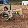 Avatar Tết Meme 2026: Biến hóa không khí Xuân thêm hài hước