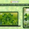 Khám phá hình nền cỏ 4 lá may mắn cho avatar và điện thoại