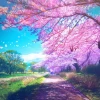Khám phá thế giới hình nền hoa anh đào anime đẹp mê hồn