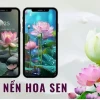 Khám phá vẻ đẹp tinh tế với hình nền hoa sen 3D ấn tượng