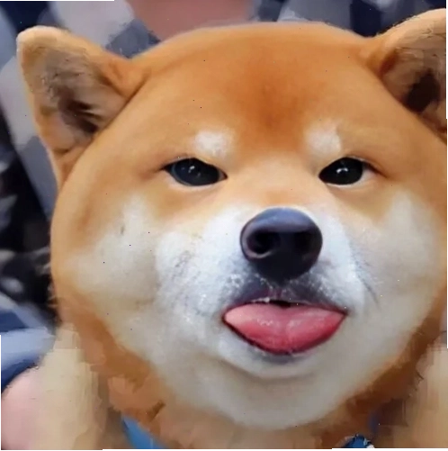 Ảnh meme Cheems chỉ tay đầy ẩn ý