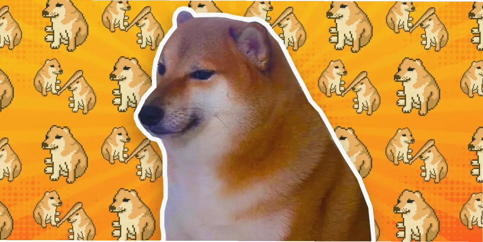 Ảnh meme Cheems tuyển chọn với biểu cảm ngộ nghĩnh