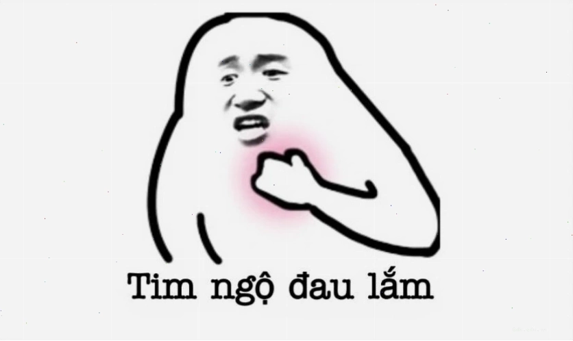 Ảnh meme mèo bựa với biểu cảm ngạc nhiên hài hước