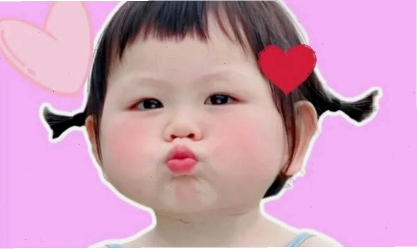 Ảnh meme mèo cute dễ thương