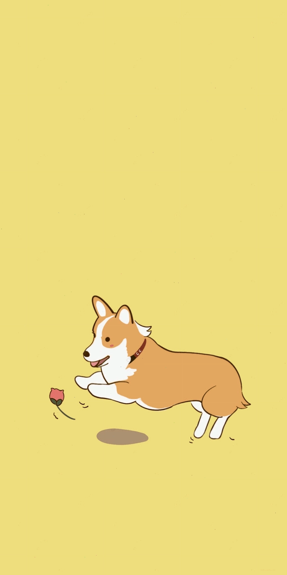Avatar chó Shiba dễ thương