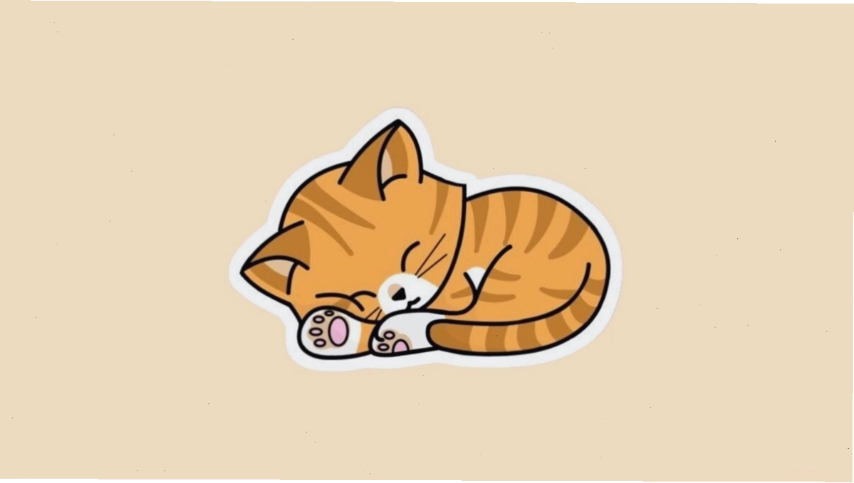 Avatar mèo chibi cầm hoa nhỏ nhắn