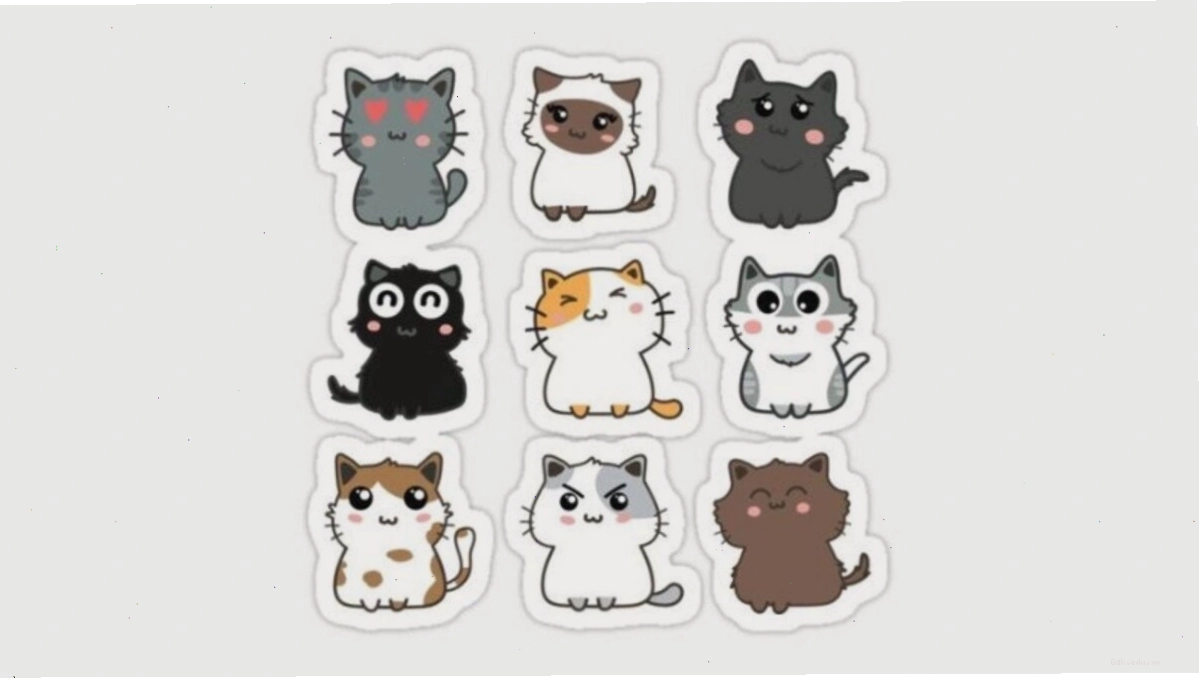 Avatar mèo chibi dễ thương với đôi mắt to tròn