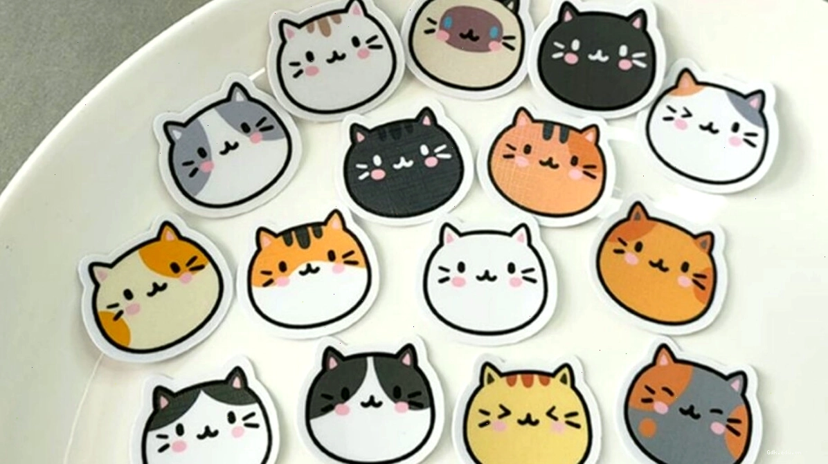 Avatar mèo chibi đeo kính ngộ nghĩnh