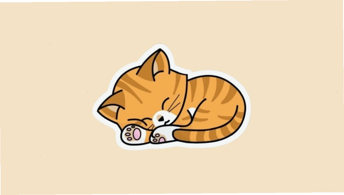 Avatar mèo chibi đội mũ len ấm áp