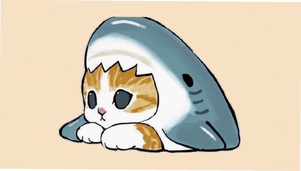 Avatar mèo chibi mập tròn đáng yêu