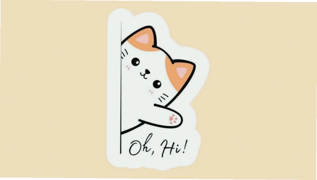 Avatar mèo chibi với biểu cảm ngạc nhiên