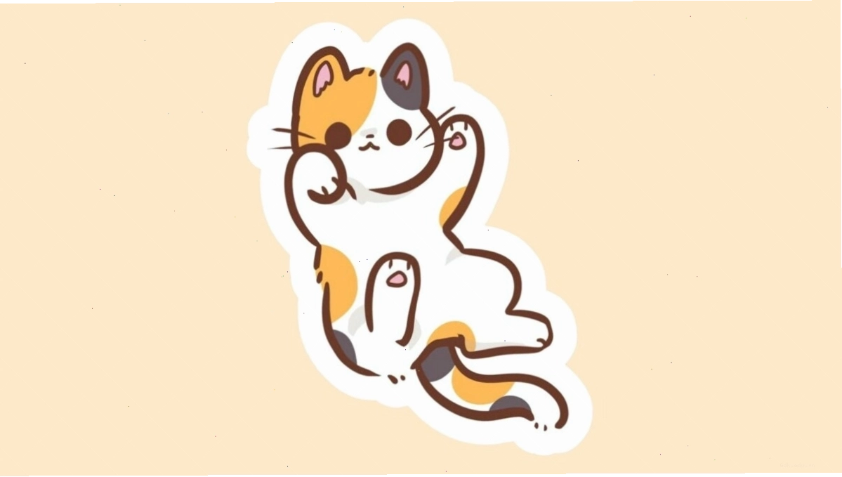 Avatar mèo chibi wearing glasses
