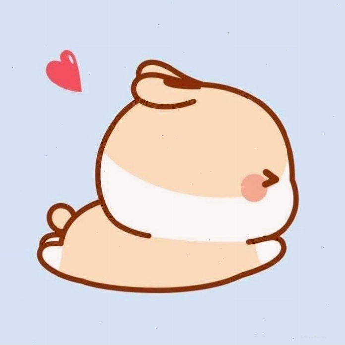 Avatar mèo con cute với đôi mắt to tròn long lanh