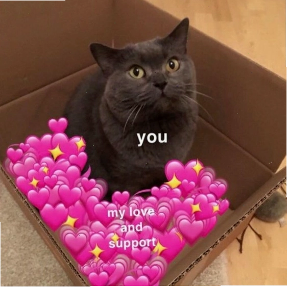 Avatar mèo meme cực kỳ đáng yêu