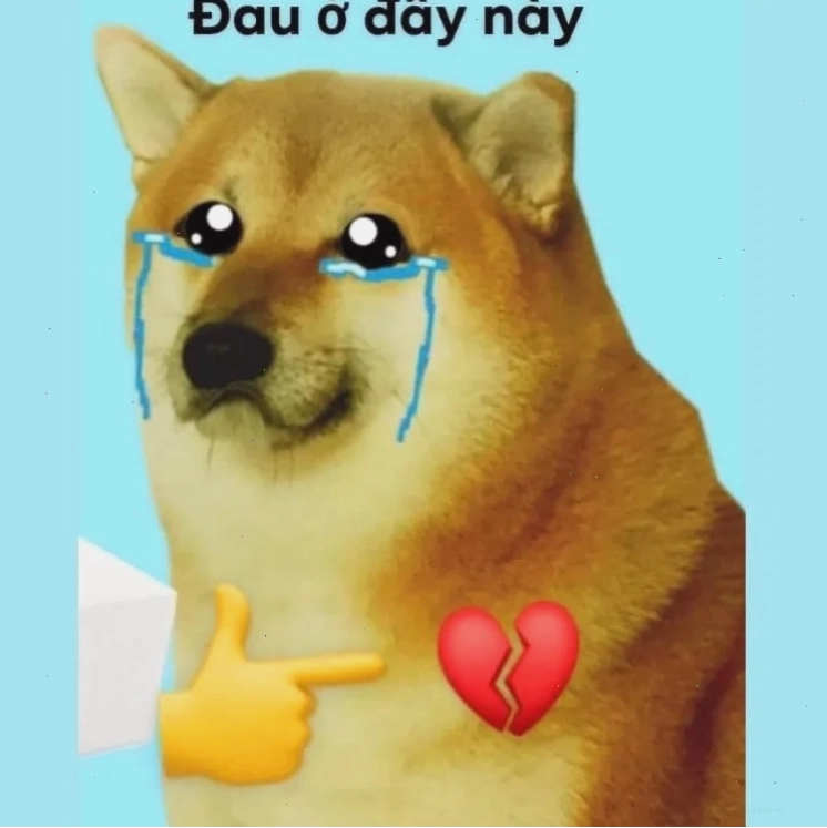 Biểu cảm "Đau ở đây này" với đôi mắt long lanh