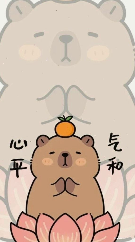 Capybara ngồi thiền, giác ngộ sự vô tri đỉnh cao trong ảnh avatar hài hước