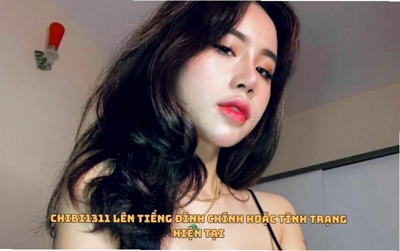 Chibi1311 lên tiếng đính chính hoặc tình trạng hiện tại giữa tâm bão tin đồn